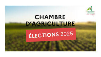 2025-Elections-Chambre-d-Agriculture_large