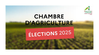 Lire la suite à propos de l’article Élections chambres d’agriculture de région d’Île-de-France 2025