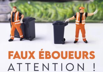 FAUX EBOUEURS