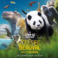 EVENEMENT – Week-end au zoo de Beauval samedi 5 et dimanche 6 juillet